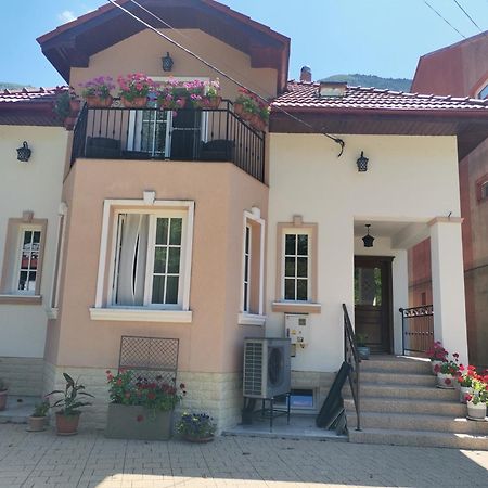 Vila Ana Herkulesfürdő Kültér fotó
