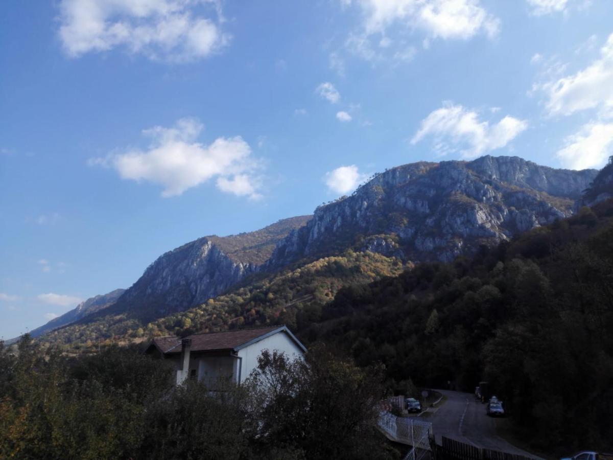 Vila Ana Herkulesfürdő Kültér fotó