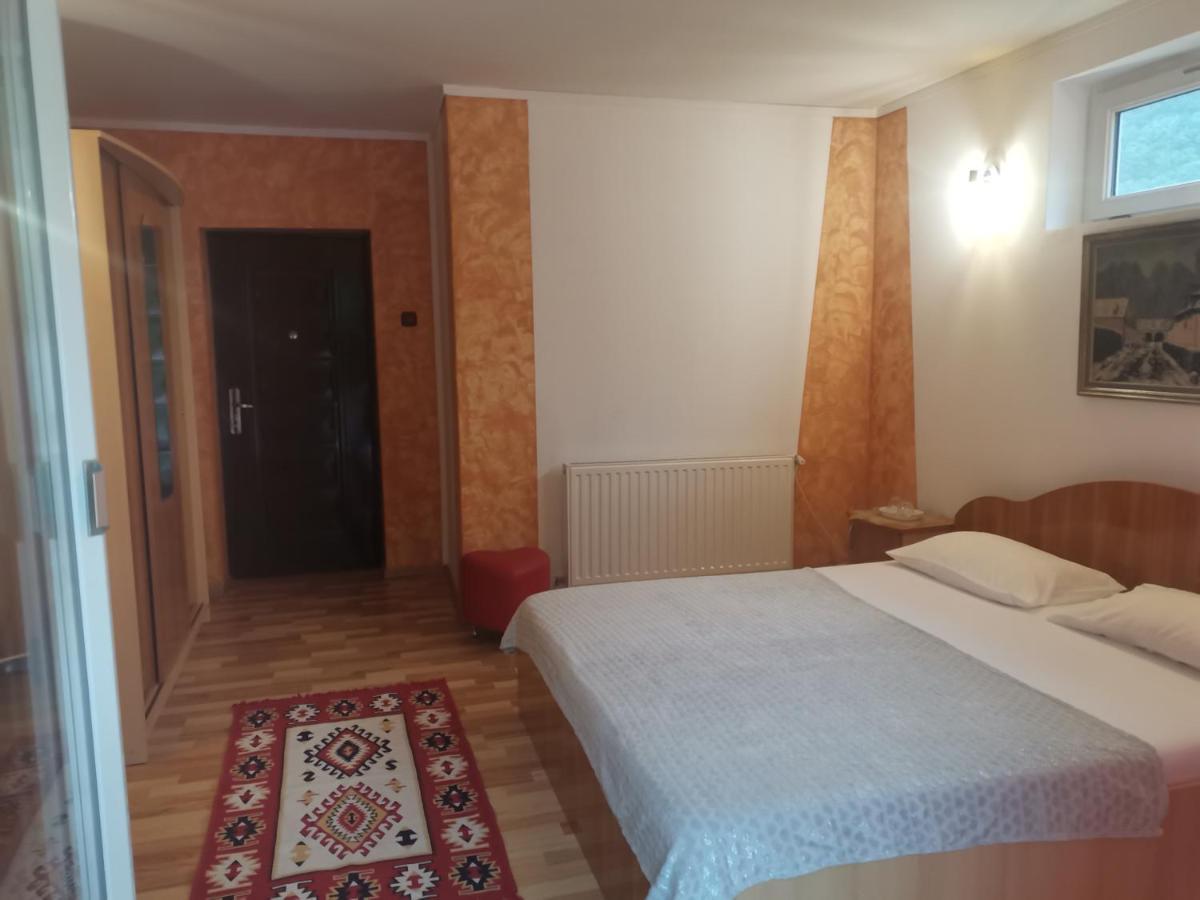Vila Ana Herkulesfürdő Szoba fotó