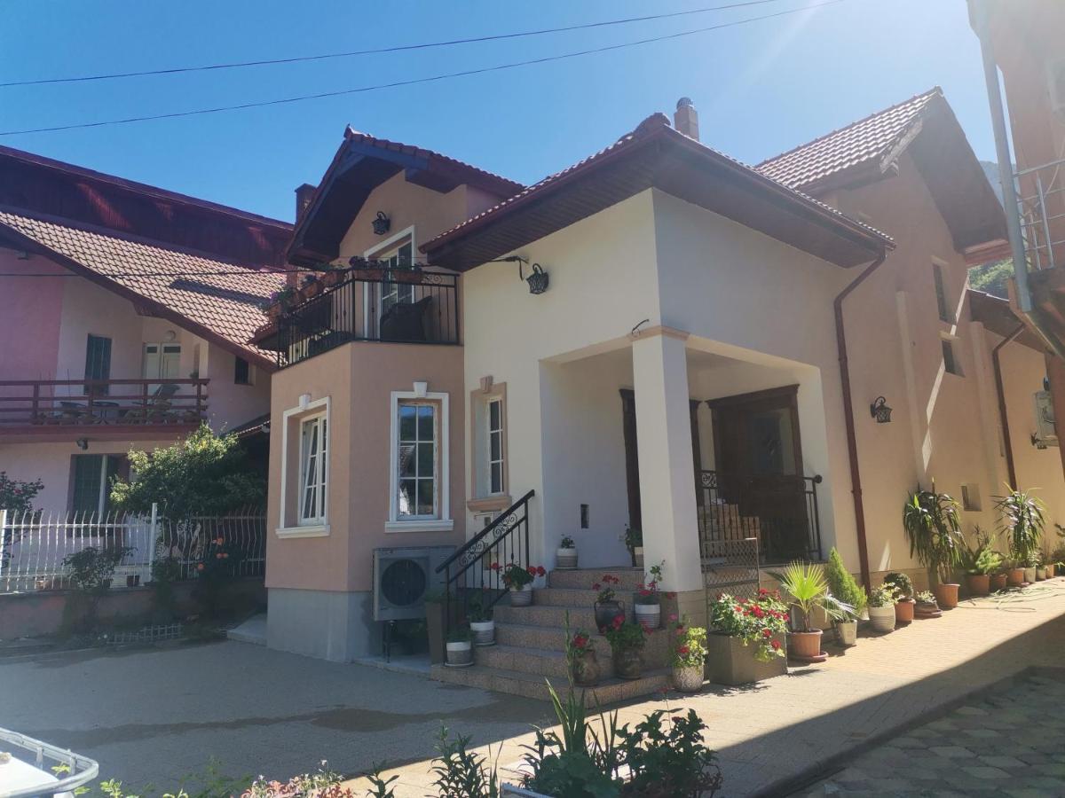 Vila Ana Herkulesfürdő Kültér fotó