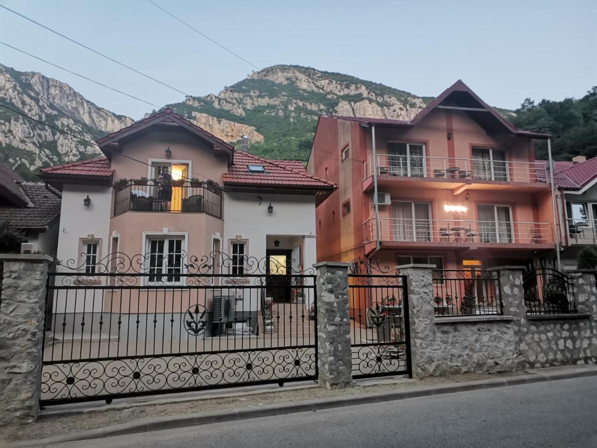 Vila Ana Herkulesfürdő Kültér fotó