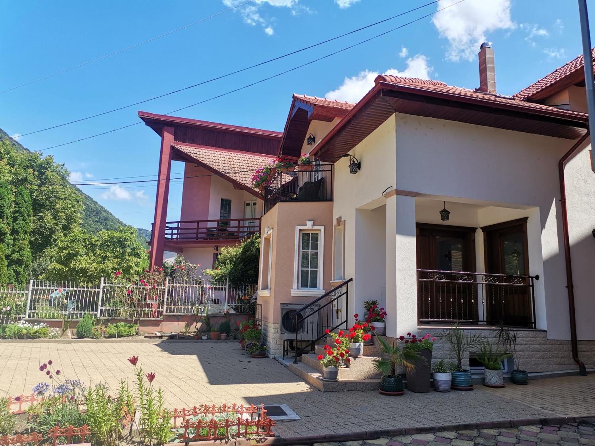 Vila Ana Herkulesfürdő Kültér fotó