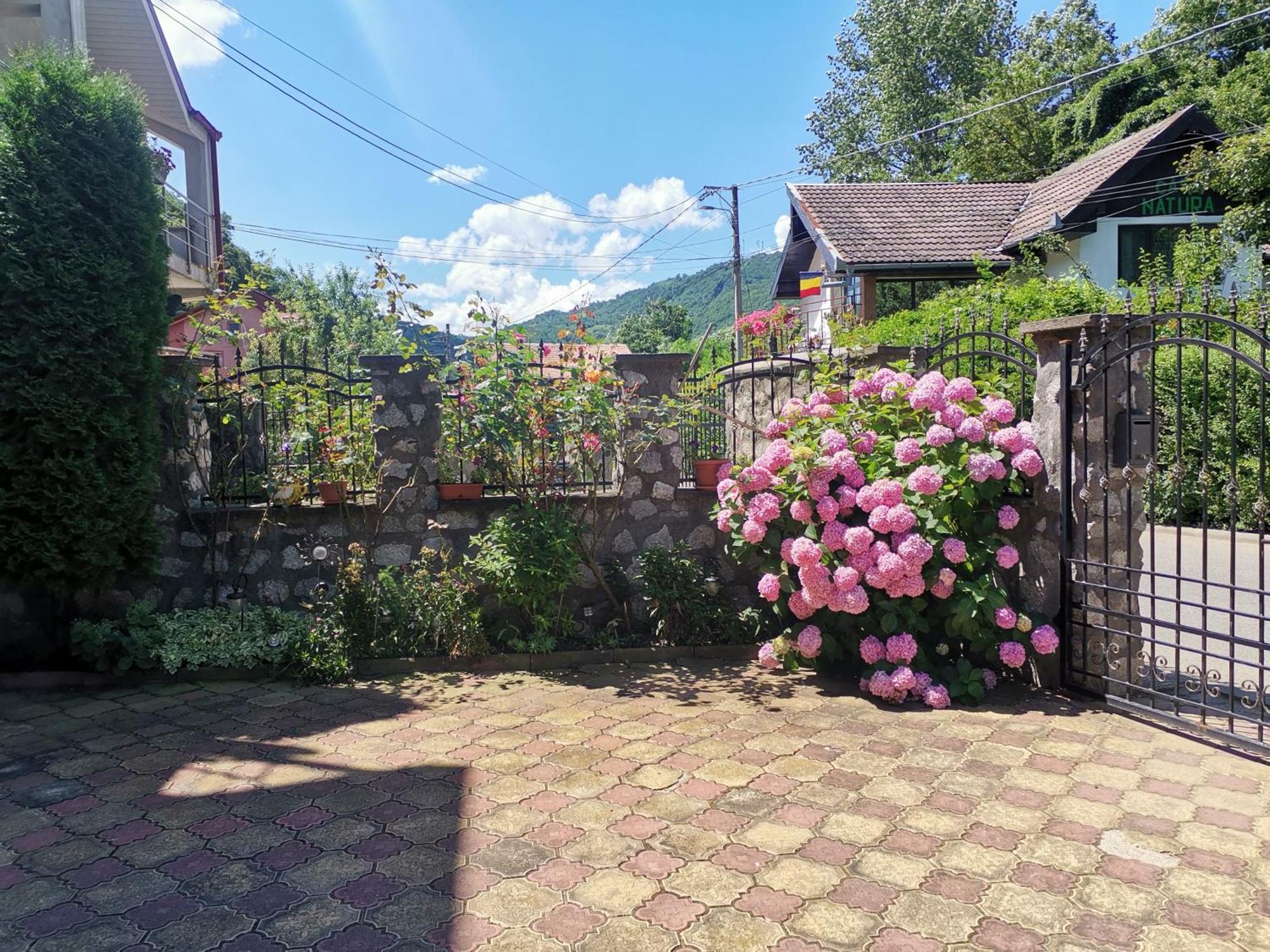 Vila Ana Herkulesfürdő Kültér fotó